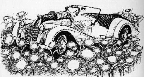 A pen-and-ink drawing of a Morgan being driven through tall flowers, the driver waving